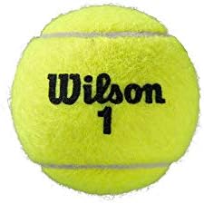 Wilson Roland Garros Clay Tennis Ball - 3 bola lata