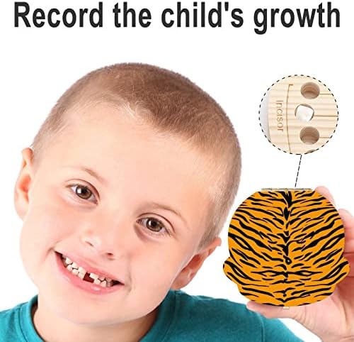 Tiger Pattern Padrão Caixa de fadas de dente