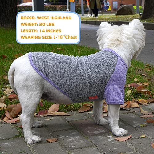 Camisetas de cachorro Kyeese 2 Pack para cães grandes Camiseta de cachorro de cachorro elástico e respirável rápido seco com rótulo