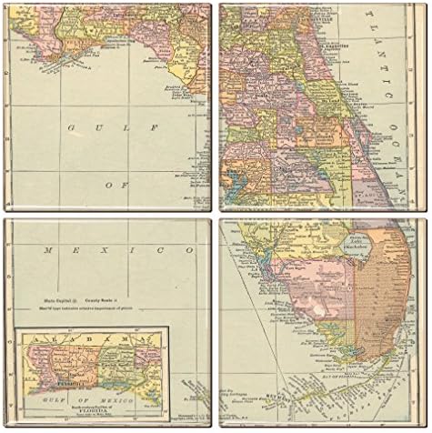Montanha -russa da Flórida do mapa vintage