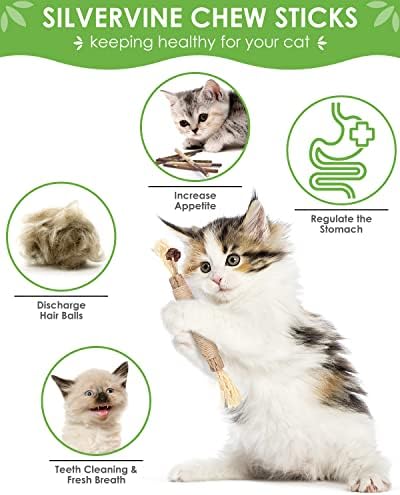 Tindtop 13 Pacote Silvervine Sticks, Catnip Catnip Toys para Limpeza de dentes de gatinhos, Matatabi Dental Care, Aumentar o apetite, calma Ansiedade e estresse de gatos