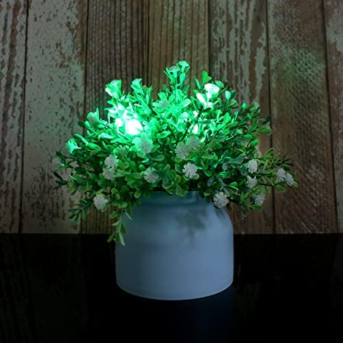 ACMEE - 24pcs Luzes de balão de LED branco quentes + 12pcs luzes de balão de LED verde LED