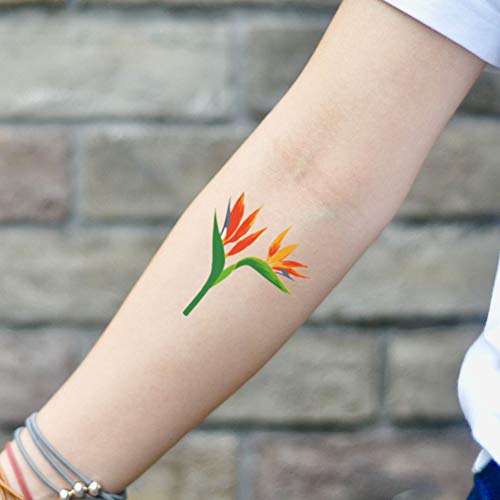 Bird of Paradise Tattoo Tattoo Adesivo - Ohmytat