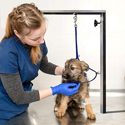 Groomers Pro Jelly Jelly Pet Helfing Loop para cães | Pode ser usado com o ajudante do Groomers | O material de biotano é fácil de