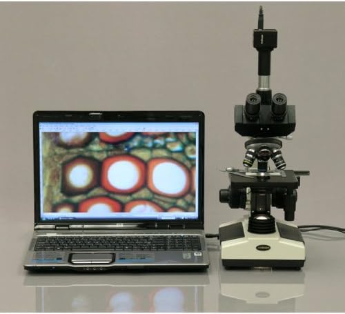 Microscópio trinocular do composto profissional T390B AMSCOPE, ampliação 40x-2000x, oculares WF10X e WF20X, campo brilhante,