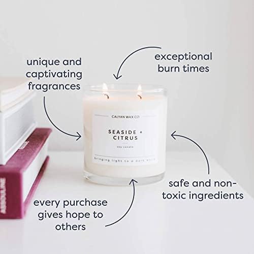 Vetiver de velas e tonka com aroma de cera Calyan, vela para a casa perfumada com pimenta preta e cardamão, vela de