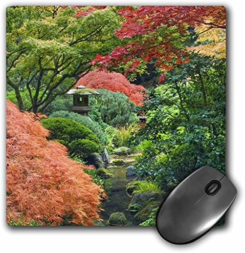 3drose LLC 8 x 8 x 0,25 polegadas Mouse pad, EUA Oregon Portland Japanes Jardim Jaynes Gallery