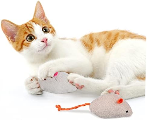 IPETBOOM 7 PCS Toy Toys Cat Toys com Catnip Cat String Toy Toy Catnip Toy Cat Wands Toys de gato Toys interativos tocando brinquedos