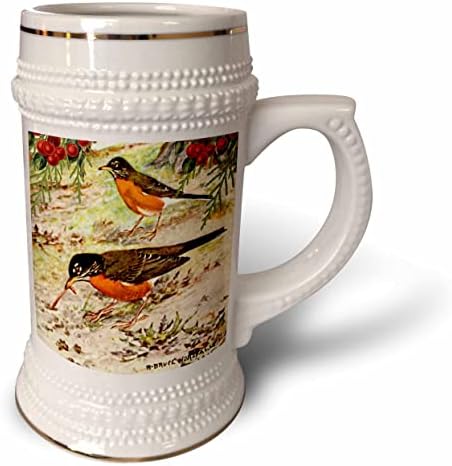 3drose vintage pássaro arte americana robin pega worm - Robins Birds. - 22 onças de caneca