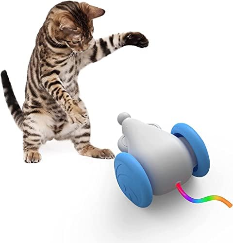 Fozicus Toys de gatos interativos para gatos internos, brinquedos de gatos automáticos com luzes LED, brinquedos de gatinho, brinquedos para animais de estimação, brinquedo de gato elétrico, USB recarregável