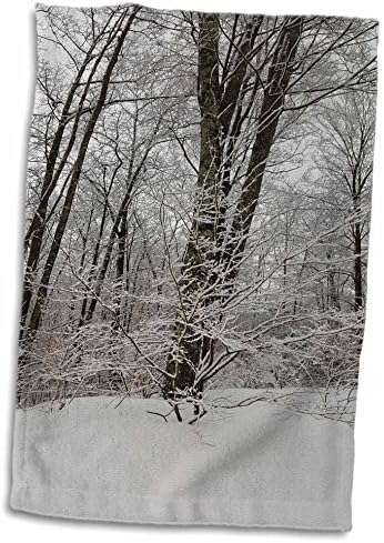 Foto de inverno cênico de 3drose Snow Coberts - toalhas - toalhas