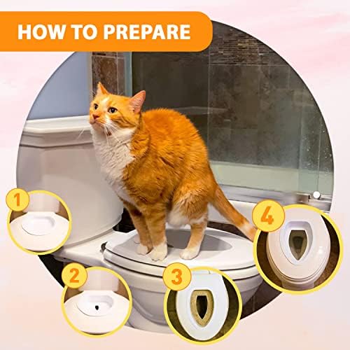 Kit de treinamento para gatos de assento de gato de gato - Kit de treinamento para o pentro de gato - Treinamento de gato - Treinamento