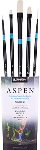 Princeton Aspen 6500 5pc Bincos profissionais - pincéis de acrílico de Princeton - pincéis de pintura a óleo sintético