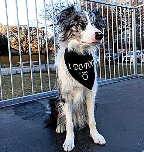 Cozinha da família Eu também faço casamento de cachorro casado para cachorrinhos de animais de estimação acessórios