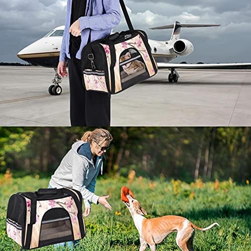 Portador de animais de estimação cereja em uma madeira transportadora de viagem de animais de estimação para gatos, cães de cachorro confortável portátil
