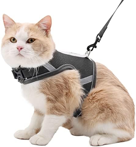 Crela de gato Conjunto, arnês com colete de gato e cinto respirável confortável para treinamento e corrida l
