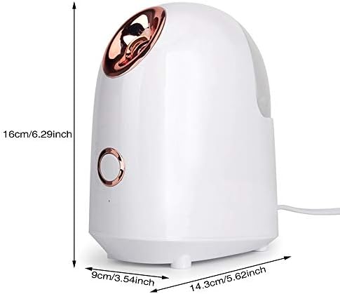 Renslat Air umidificador Nano Ionico Facial Facial Vapor Lady Face Sprayer umidificador pessoal Sauna Spa Fauming Ferramenta de vapor