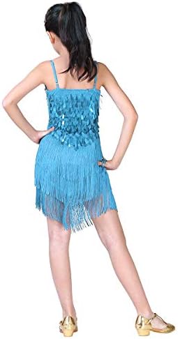 Venjoe Child Girls Sparkly Latin Salsa Rumba Dance Tassel Dress Fantaspume Kids Ballroom Dancewear
