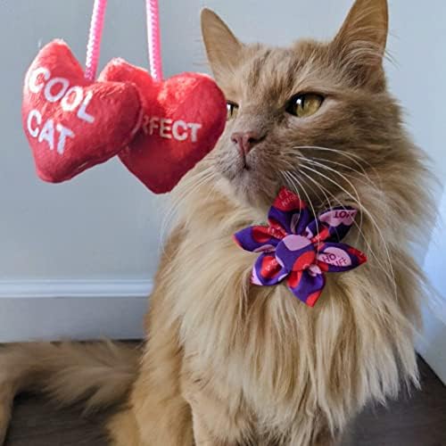 Huxley e Kent Pet Pinwheel | Corações de Convo | Acessório de colarinho de velcro do Dia dos Namorados para cães/gatos