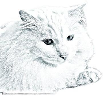 Art Dog Ltd. Turkish Angora Cat, lápide oval de azulejo de cerâmica com uma imagem de um gato