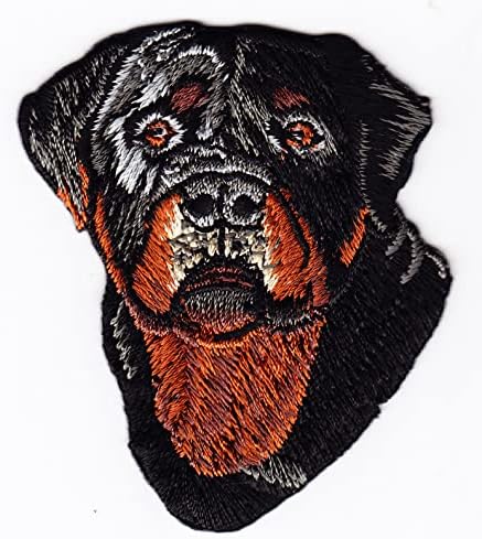 Rottweiler ferro em patch cães animais de estimação animais