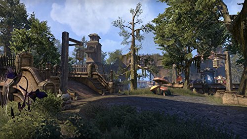 The Elder Scrolls Online: Morrowind - PC