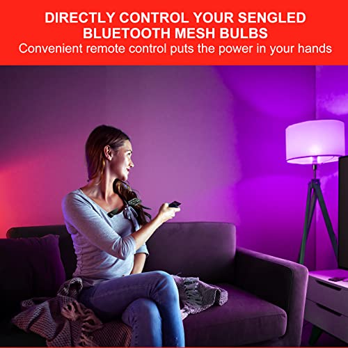 Controlador remoto de Shnemed Shinchled Shnemge, compatível com as luzes LED bluetooth de Shiquiadas Suporte Off-Line, Fácil Definir