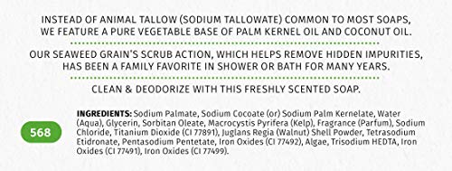 Reviva Fórmula Original Sabão de algas 4,5 oz. , Naturalmente limpo e desodorize sua pele com este sabonete recém -perfumado