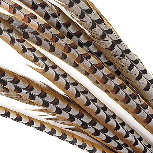Pumcraft jóias diy raras raras caudas de cauda de cauda para jóias artesanais de diy 4-72 polegadas Reeves veney faisão cauda de penas de carnaval de carnaval decoração plumas