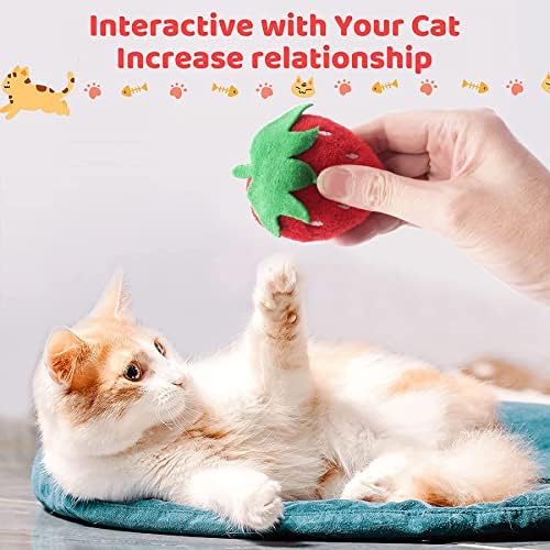 Pai sence 10pcs Catnip Toys para gatos internos gatos interativos gatinhos recheados mastigar brinquedos de bordem kitty tocando alivia o estresse amantes de gatos presentes