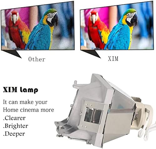 XIM RLC-108 Substituição Lâmpada de lâmpada para ViewSonic PA503S /PA502XE /PA503X /PG603X /PS501X /PS600X /PA500S /PA502SE