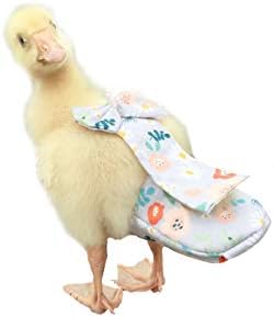 Fraldas de pato Hezhuo, fraldas de frango, fraldas especiais para aves de aves, frango, pato e ganso à prova d'água, ajustáveis,