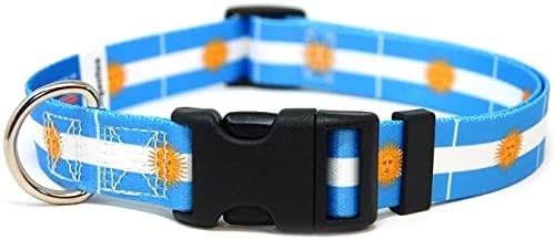 Collar de cachorro argentina | Argentina Flag | Martingale Slip-On | Feito em NJ, EUA | Para cães médios | 3/4 de polegada de largura