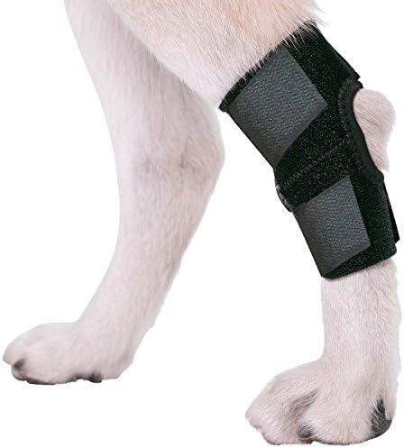 Agon® Dog Canine traseiro Junta da junta Brace embrulho com tiras de cachorro para a perna traseira protege as feridas. Cura evita