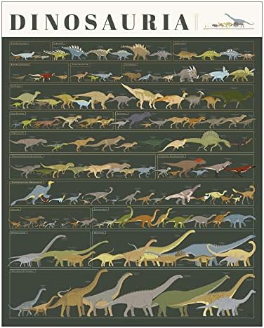 Gráfico pop | Dinosauria | Poster de dinossauros de 16 x 20 | Classo de Dino Science | Paleontologia Decoração de parede
