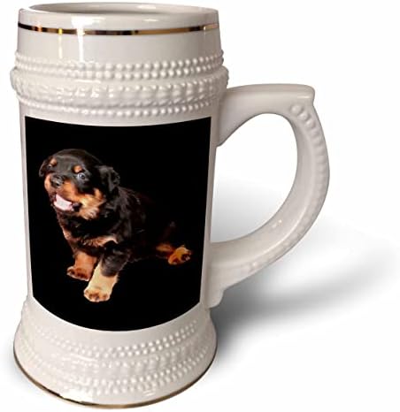 3drose fofo Rottweiler Puppy com expressão engraçada - 22oz de caneca