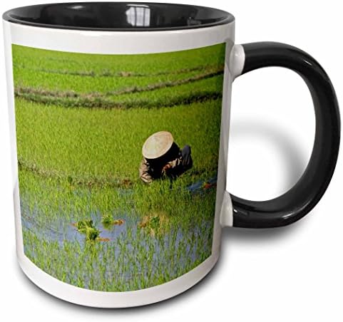 3drose Mug_69562_4 fazendeiro vietnamita, arroz Paddy, hoi an, Vietnã -AS38 DFR0370 - David R. Frazier Two Tone Black Caneca,