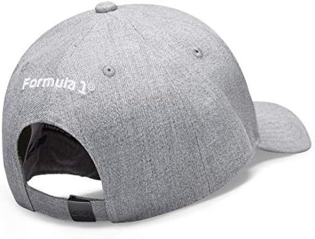Fórmula 1 Coleção de tecnologia F1 Logo Unisex-Adult Hat Grey