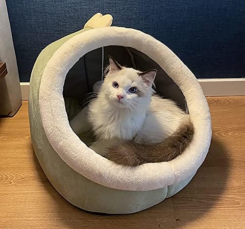 Cama fofa macia de H&T para gatos, com um Cushins confortável um tecido inferior sem deslizamento e uma bola de brinquedo