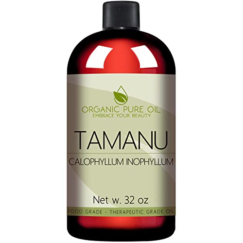 Óleo Tamanu - puro, natural, de origem orgânica, não refinada, não OGM, prensada a frio, portador de nozes para pele,
