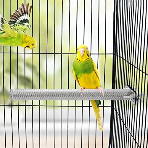 Wontee Bird Pold Stand Stand Standless Steel Parrot Gaiola Pol.