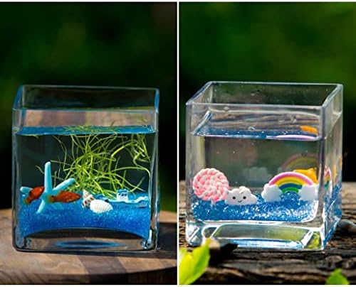 Personalidade transparente de vaso de flores criativo Tanque de peixes de vidro de vidro Aquário em casa Sala de estar para desktop