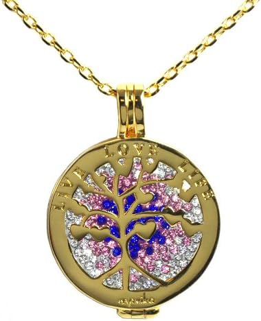 Navika Live Love Life colar Gold com Twilight Micro Pave Crystal Charm