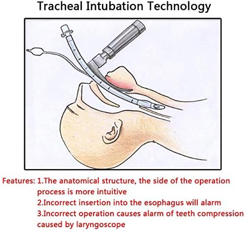 Intubação Manikin Oral e Nasal Airway Intubation Simulator com estrutura anatômica Exibir superfície da traquéia e cavidade nasal