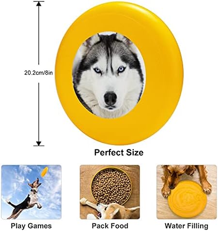 FunnyStar 10.39 Round Dog S Disc para treinar Borda resistente a picadas de cães