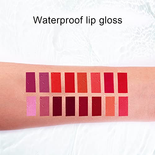 Faeyli Matte Lip Color Liquid Batom During Lip Color Color a água da cor de maquiagem de maquiagem Mulheres e meninas Maquiagem