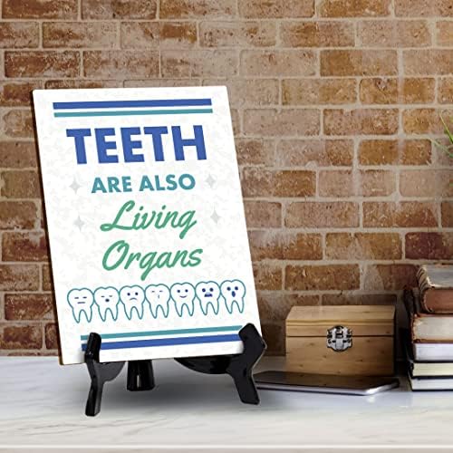 Sinais de dentes Bylita também são decoração de escritório odontológica dos órgãos vivos, sinal de mesa com suporte de