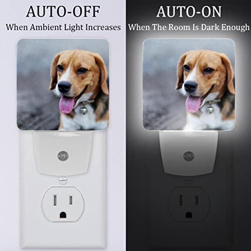Rodailycay sensor de luz Night Light Beagle Dog fica na estrada fofa, 2 pacotes de luzes noturnas se conectam na parede, luz de noite