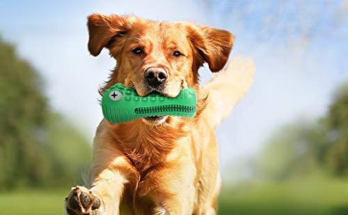 Dog Squeaky Chew Toy, Rubber resistente Durável para mastigadores agressivos, divertido de mastigar para Mediuem