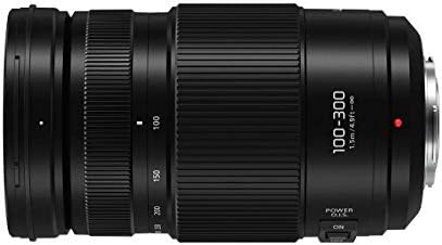 Panasonic Lumix G II VARIO 100-300mm f/4.0-5.6 Lente, micro micro quatro terços, Power O.I.S. Bundle Hoya NXT mais 58mm